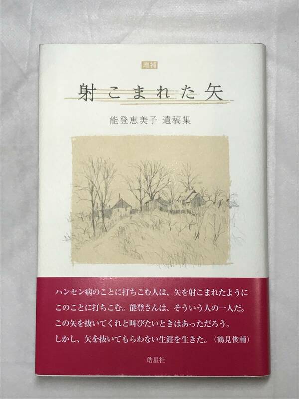 射こまれた矢 増補 能登恵美子遺稿集 皓星社 2021年帯あり ハンセン病文学全集編集者 関連新聞切抜き多数