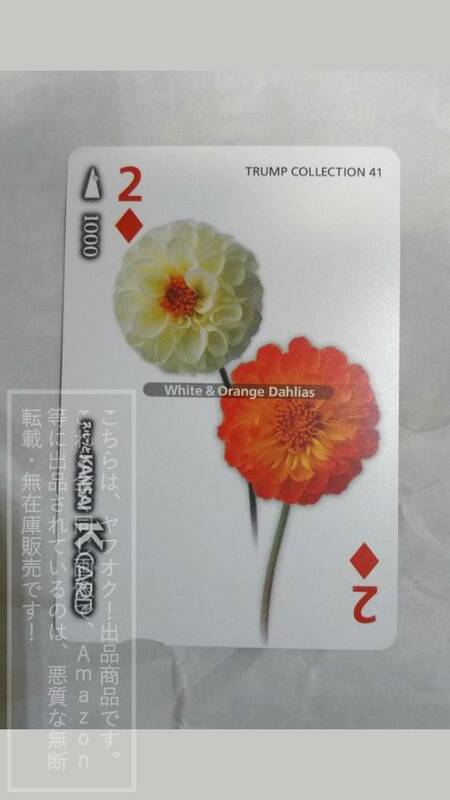 【使用済】京阪電鉄 京阪電車 スルッとKANSAI K CARD Kカード TRUMP COLLECTION 41 White&Orange Dahlias【カード裏表全体的傷有り】1枚