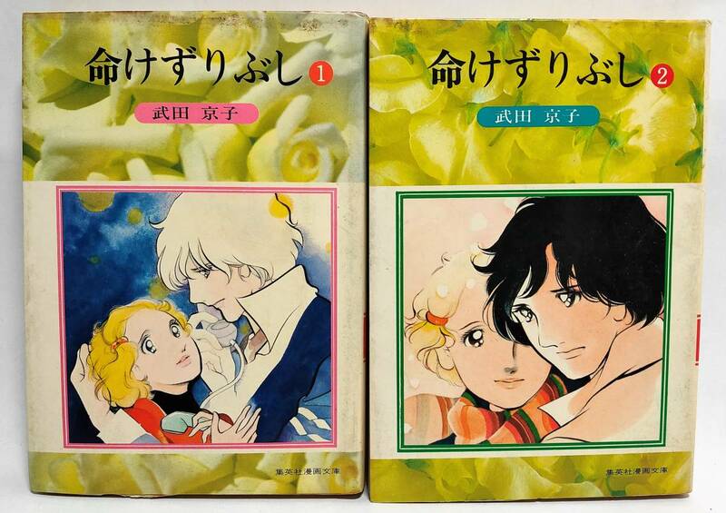 命けずりぶし 全2巻セット 武田京子 集英社漫画文庫 1978年