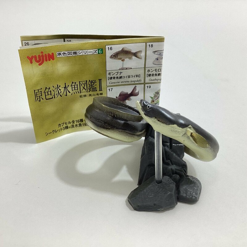 中古品 原色図鑑シリーズ6 原色淡水魚図鑑Ⅱ 23 ウナギ YUJIN ガチャガチャ カプセルトイ フィギュア