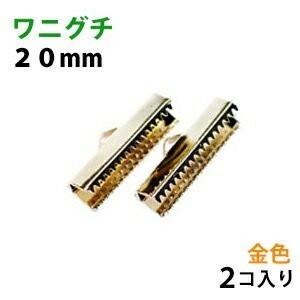 アクセサリーパーツ 金具 ワニグチ ２０ｍｍ 16KG金メッキ 金色 ゴールドカラー ２コ入り 紐止め リボン留め金具