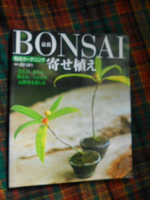 ★☆ 　　『　ＢＯＮＳＡＩ　盆栽　』　寄せ植え　★☆