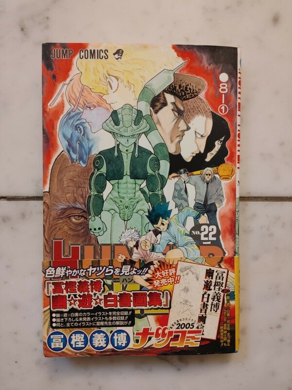 漫画本　HUNTER×HUNTER　ハンターハンター　第22巻　ジャンプコミックス　初版本　美品