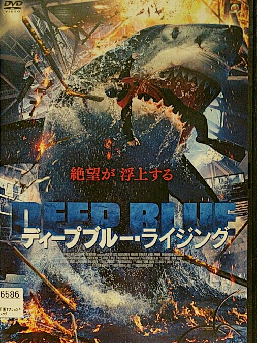 DVD ディープブルーライジング