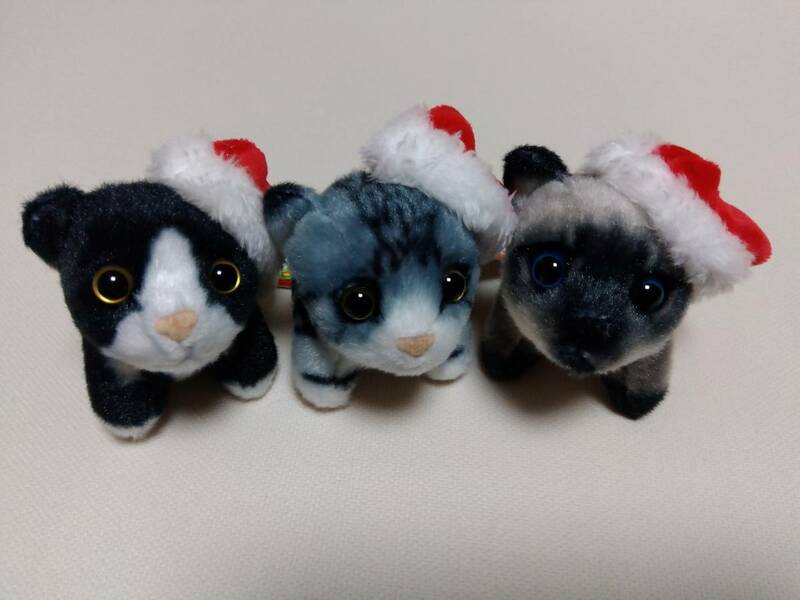 【 未開封新品・美品 】子猫のプチマスコットBC（クリスマス）３種セット　