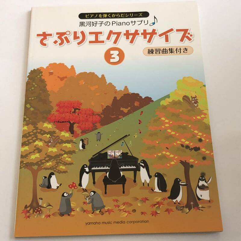 即決　黒河好子のピアノサプリ　さぷりエクササイズ３　 練習曲集付き ピアノを弾くからだシリーズ