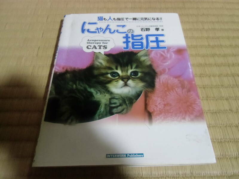 にゃんこの指圧　中古　本