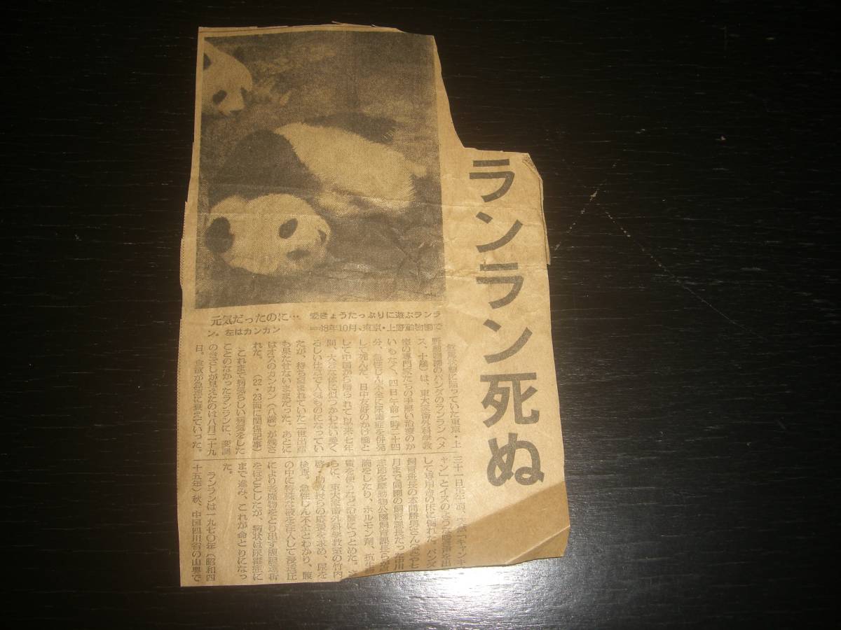 『 ランランの死亡記事の切り抜き 』　1979年　パンダ