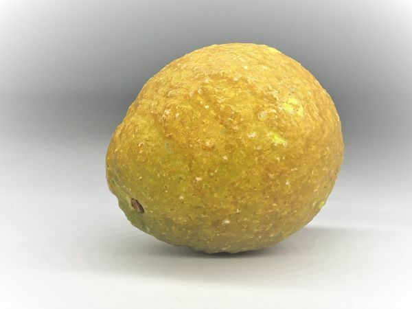 【方解石アラバスター】　フルーツ置物　『レモンLemon』　イタリア製アンティーク　　N0324B4