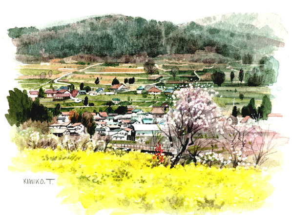 □第8318号「菜の花畑／長野県中野市」　田中　君子画／プレゼント付き！