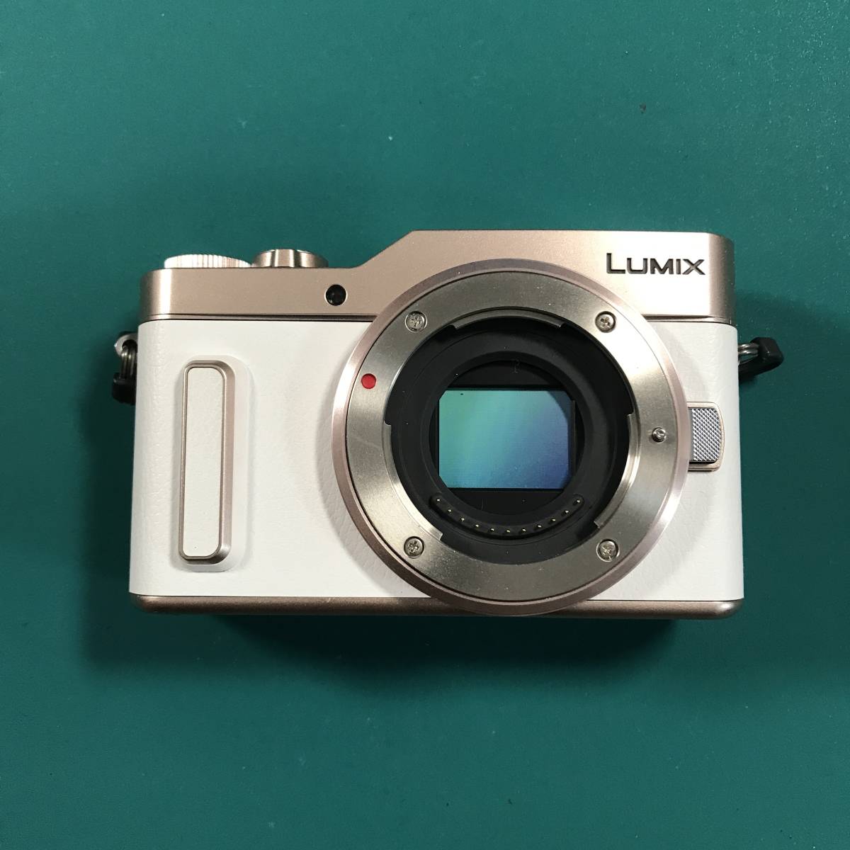 ★ パナソニック LUMIX G 店頭展示 模型 モックアップ 非可動品 R01075