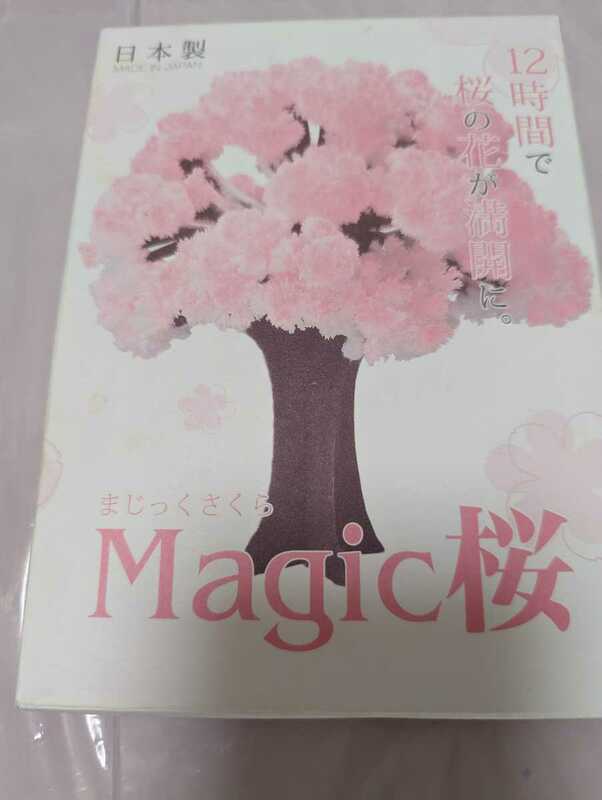 【マジック桜】Magic桜　マジック桜　桜　さくら　花見　外装に傷み汚れあり　お花見　さくら　自宅桜