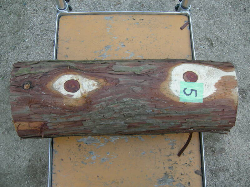 ⑤　檜丸太　皮付き　長さ　４８８mm