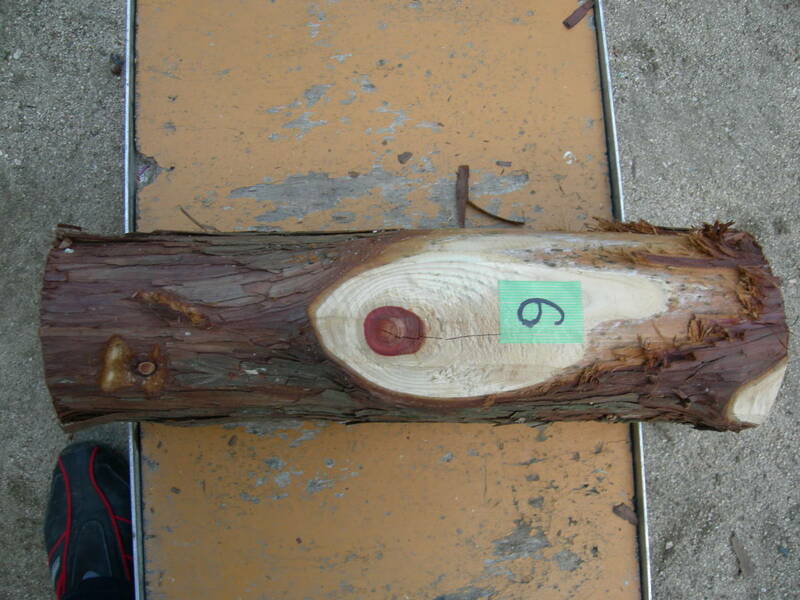 ⑥　檜丸太　皮付き　長さ　４５５mm