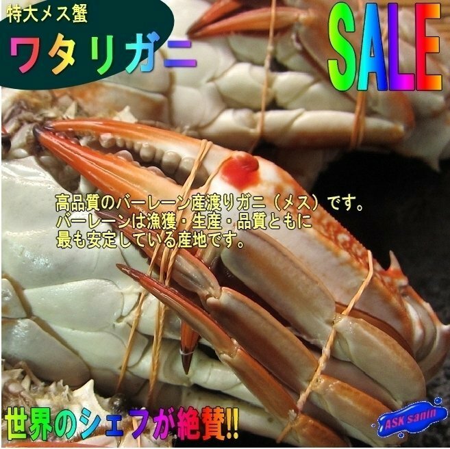 箱売り 「ワタリ蟹3kg」バーレーン産、台湾ガザミ　メスのみ、20尾位入り