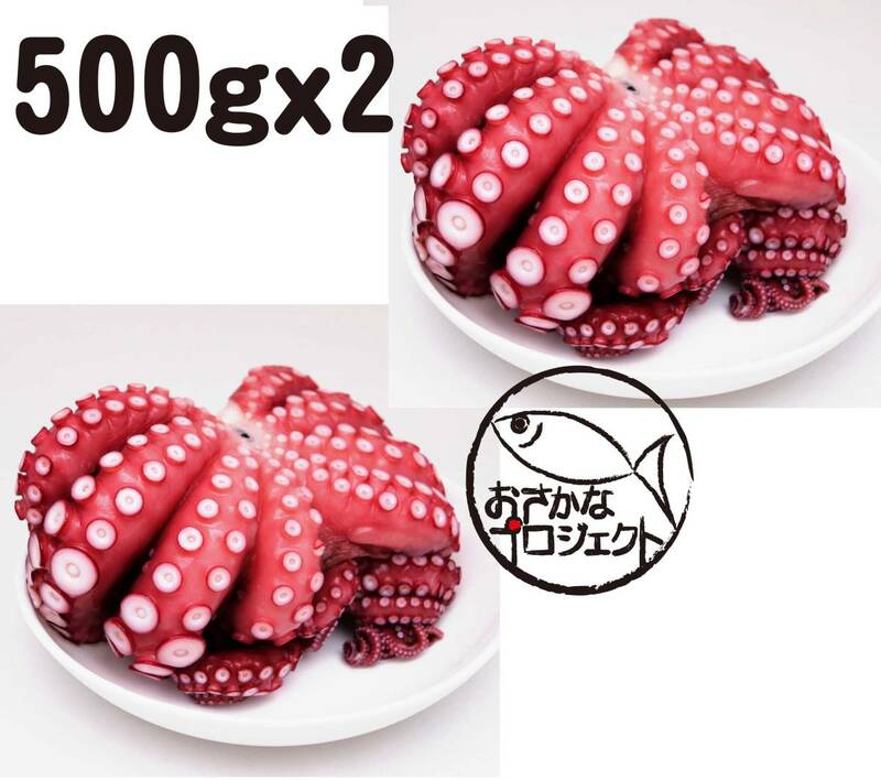 ゆでマダコ　蛸　500gx2　まるごと2匹　冷蔵　工場直送 a002
