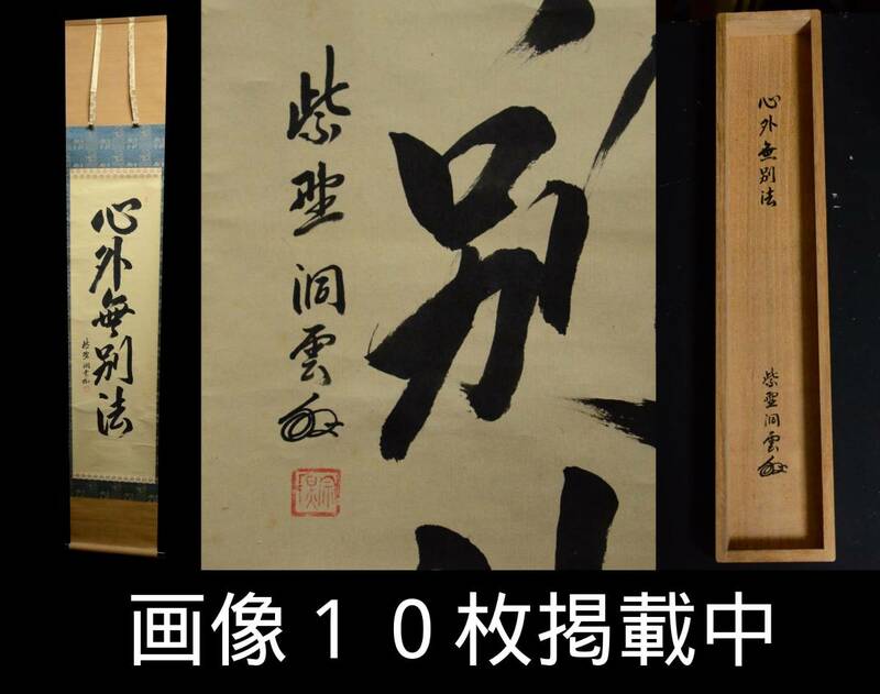 大徳寺 柴野洞雲 「心外無別法」 一行書 肉筆紙本 茶掛 掛軸 共箱 真作 茶道具 画像10枚掲載中