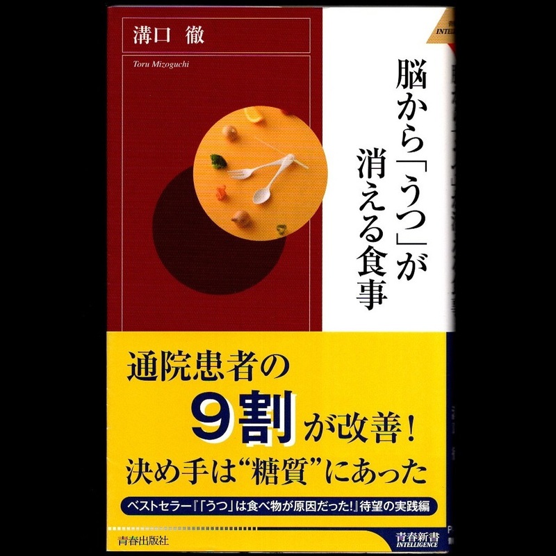 本 新書 青春新書 PI-283 「脳から「うつ」が消える食事」 溝口徹著 青春出版社 オーソモレキュラー療法 栄養療法