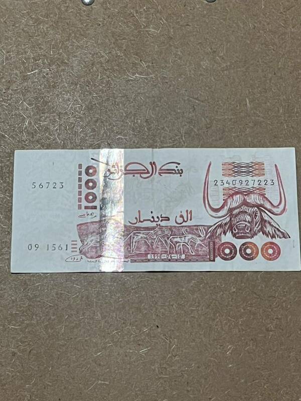 アルジェリア　1000ディナール　紙幣 お札　札