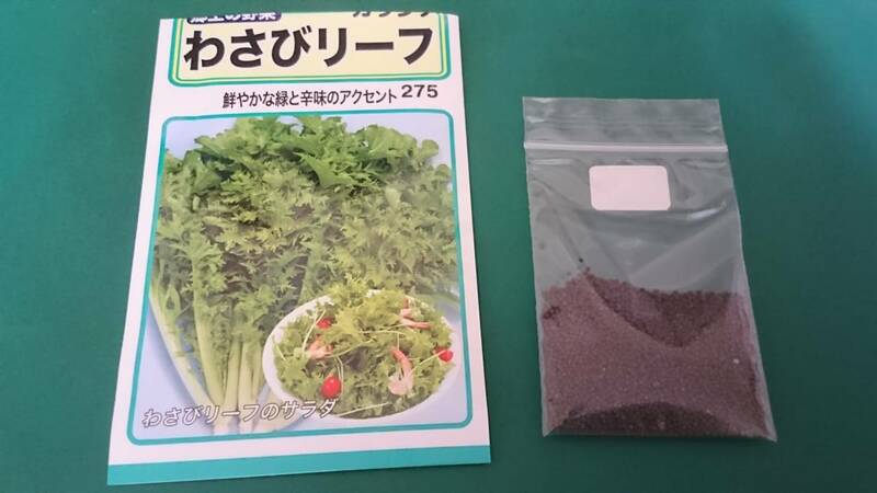 野菜の種　種子　カラシナ　ワサビリーフ　少し使用しました種です。