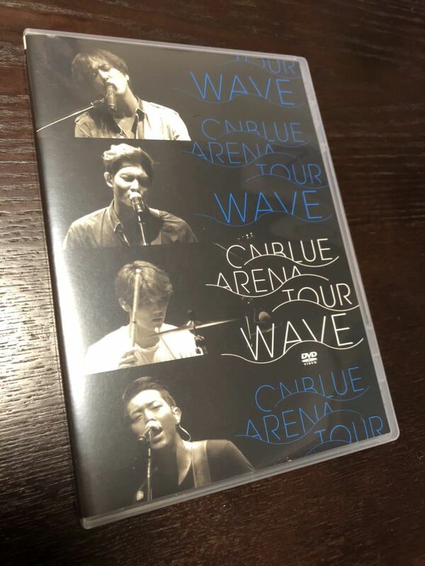 即決 CNBLUE/2014 ARENA TOUR WAVE @OSAKA-JO HALL DVD