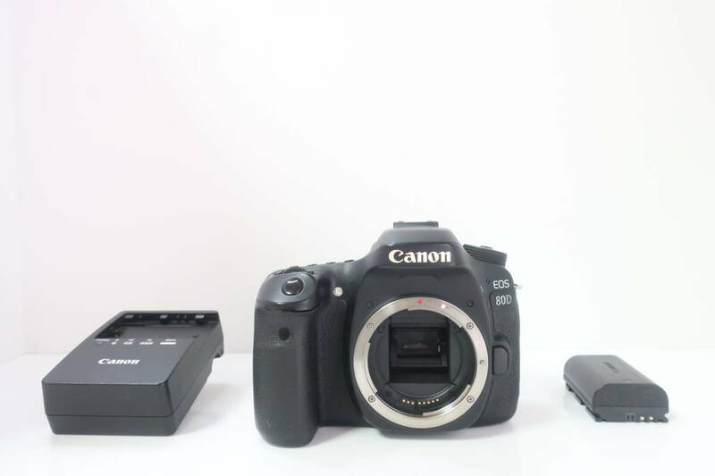 ★人気★ Canon キャノン EOS 80D 充電器付 #2292