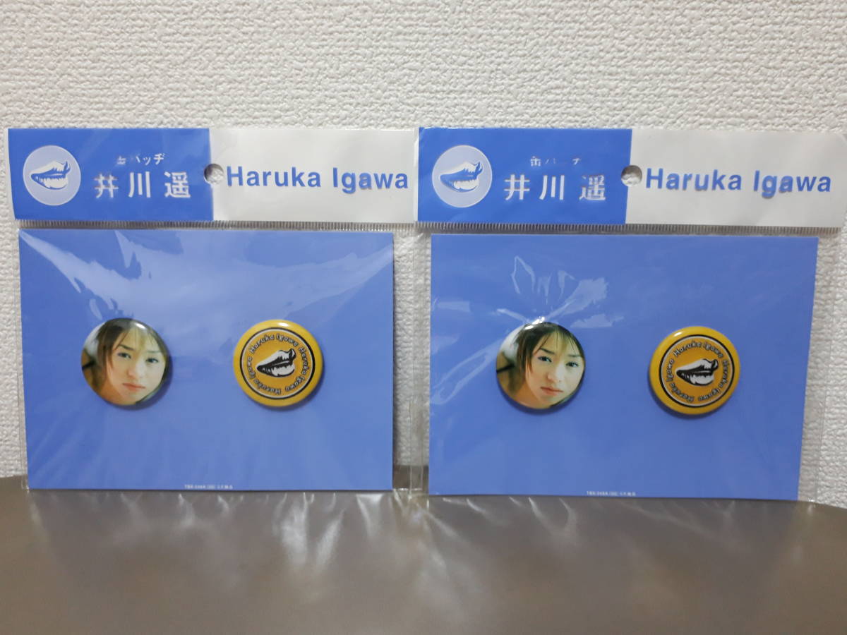 新品　未開封　井川遥　缶バッヂ　バッチ　バッジ　2セット　34mm