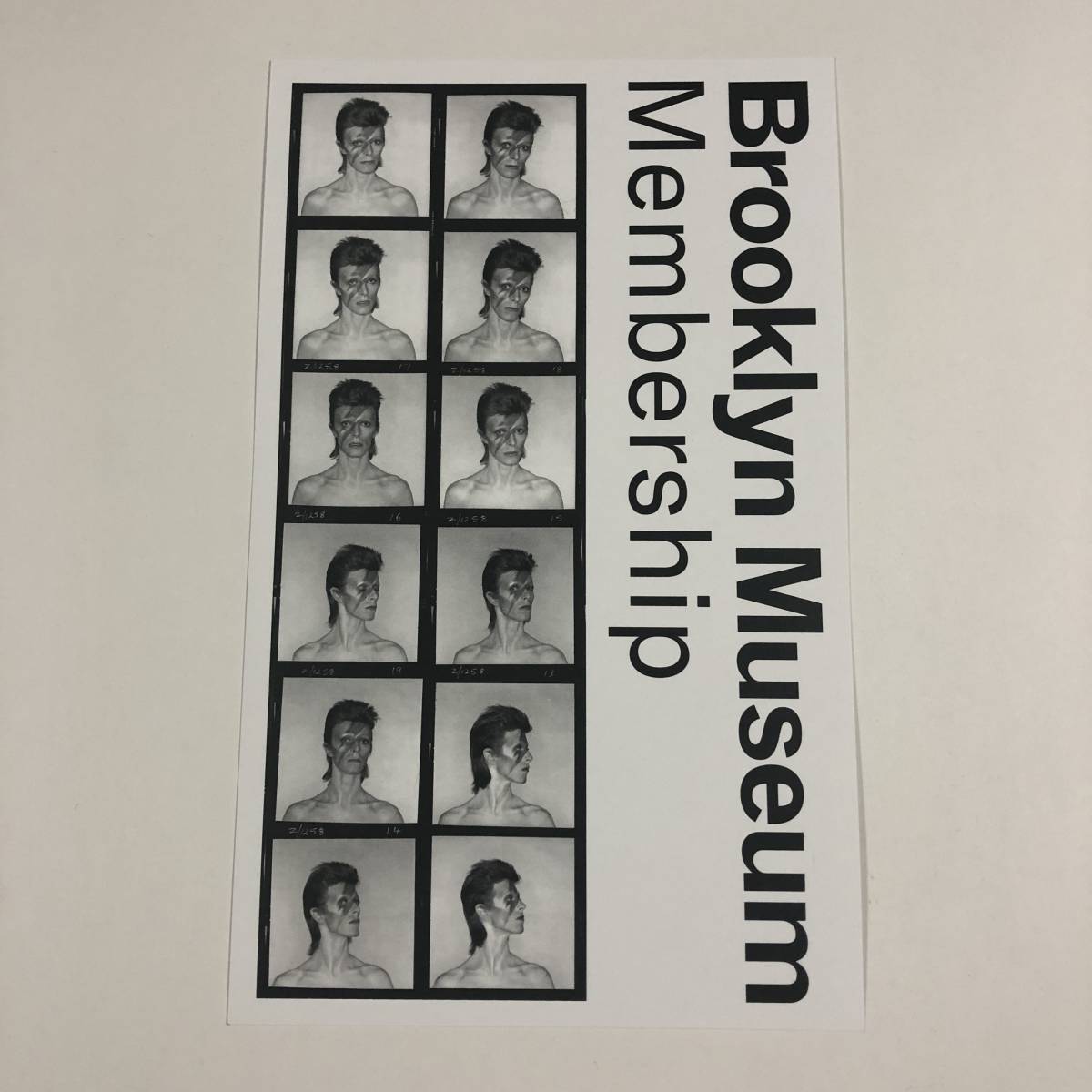 デヴィッド・ボウイ Brooklyn Museum Membership フライヤー チラシ ★ DAVID BOWIE is ニューヨーク ブルックリン 美術館 ポストカード
