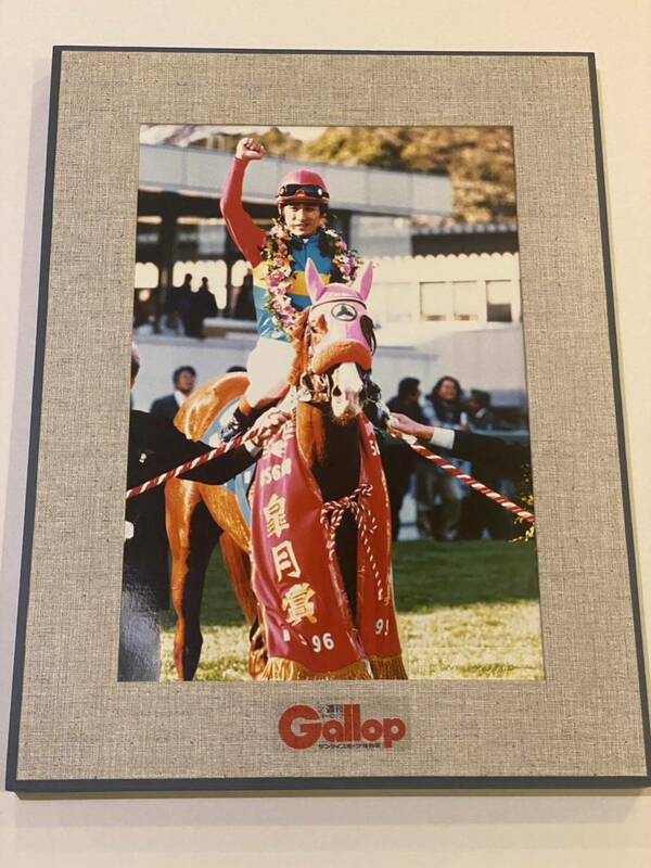 （14）Gallop ギャロップ　特製パネル　1996 皐月賞　イシノサンデー　四位洋文　約45×34cm