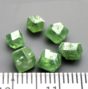 灰鉄ザクロ石 デマントイド Andradite (Demantoid) 可愛い結晶 パキスタン産 瑞浪鉱物展示館 4483