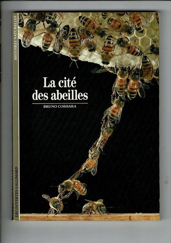 ＊RI123MI「La cite' des abeilles 」1991 フランス語版 Bruno Corbara (著) 143p 図版多数 ミツバチ 