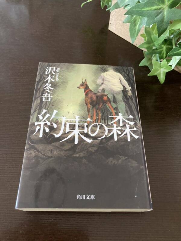 ●☆中古 文庫本　約束の森　沢木冬吾　角川文庫☆