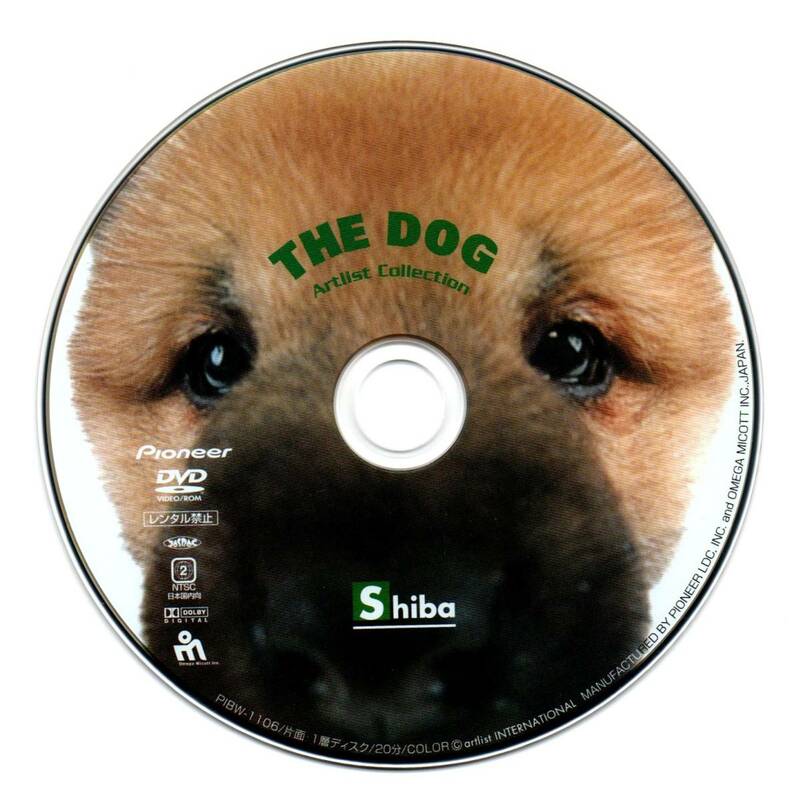 DVD／THE DOG 柴　2001年
