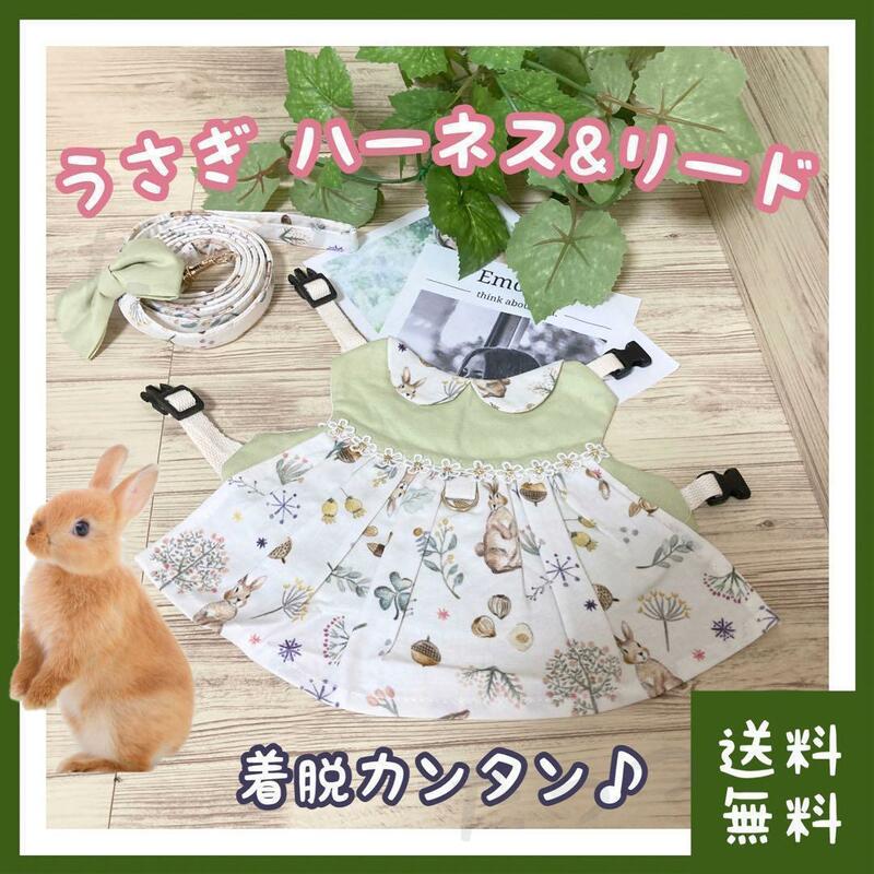 うさぎ ハーネス リード 森ガール・ゆめかわ風(■ペット・小動物(ラビット)用品■ネザーランドドワーフなどにオススメ■うさんぽ・散歩用)