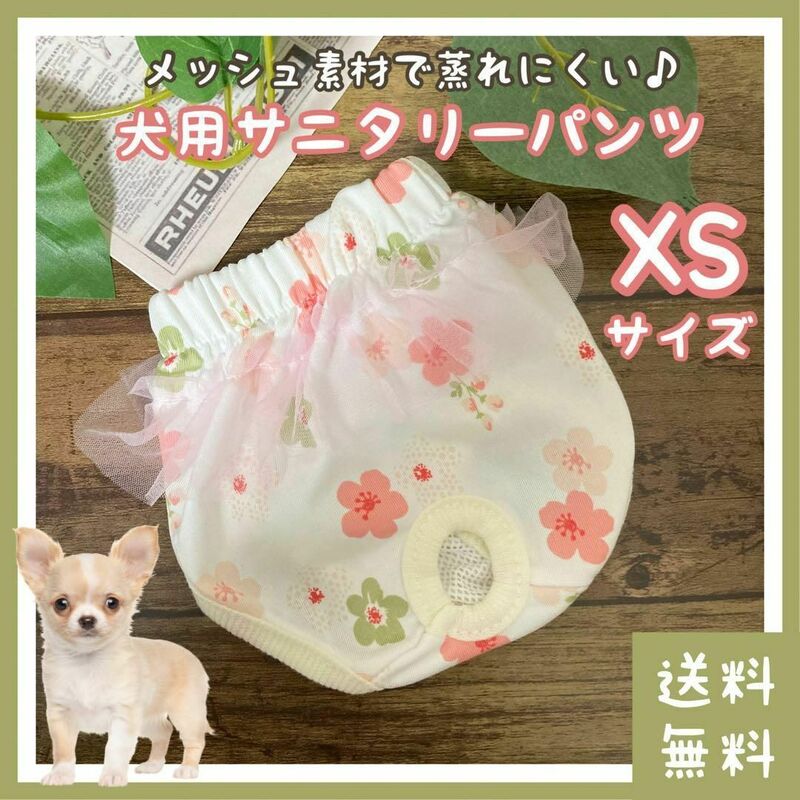 【お買い得】犬 サニタリーパンツ チュール付き XSサイズ(生理 月経 経血 メス イヌ 散歩 外出 オムツ マナーパッド マナー トイプードル)