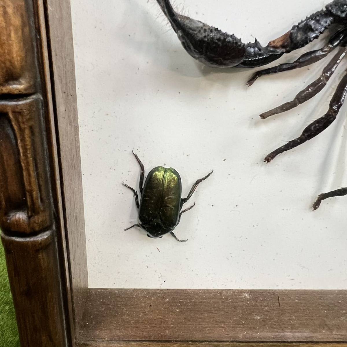 {$data['title']拍卖