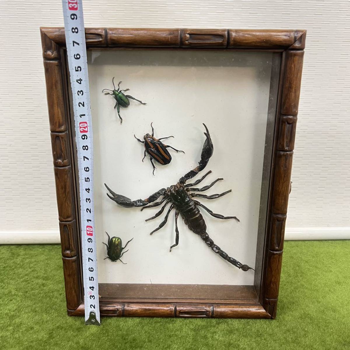 {$data['title']拍卖