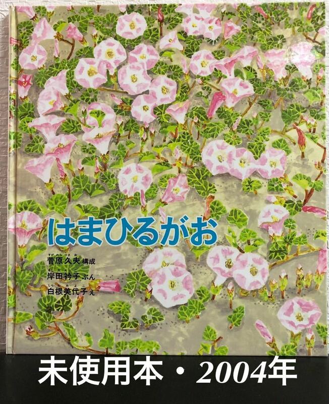 ◆絶版・未使用本◆「はまひるがお」かがくのとも　特製版　岸田衿子　白根美代子　菅原久夫　福音館2004年