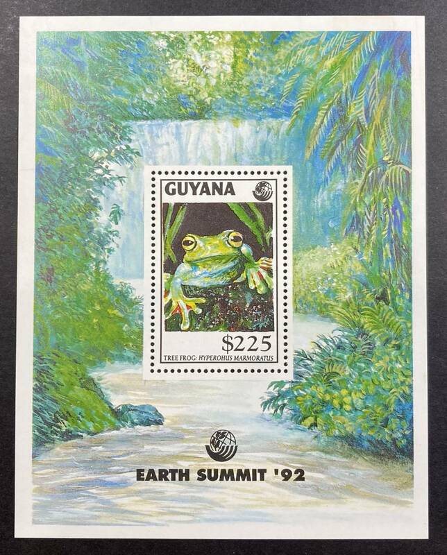ガイアナ 1992年発行 カエル 切手 未使用 NH