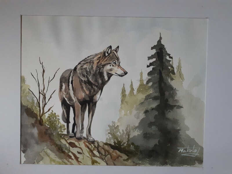 水彩画　森の一匹オオカミ