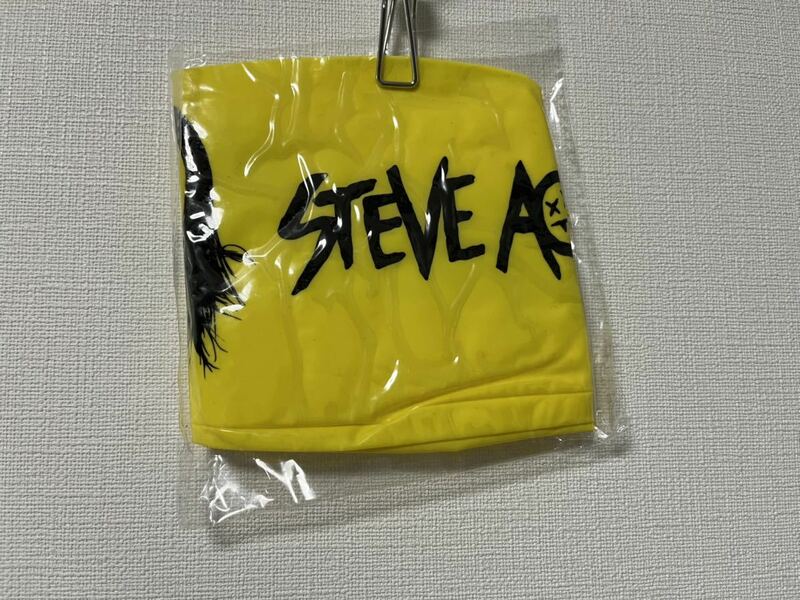 STEVE AOKIビーチボール　未開封　非売品　スティーブアオキ　EDM 送料込