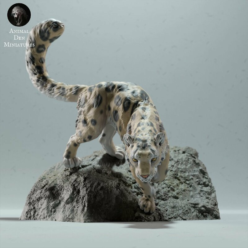 Snow Leopard Rock