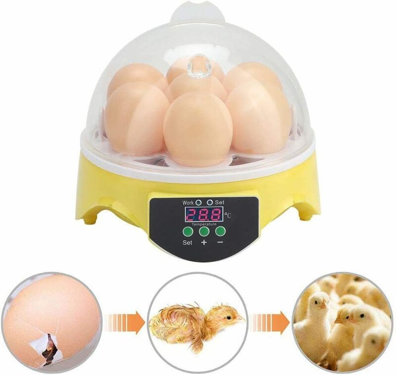 自動孵卵器 インキュベーター 7個 自動温度制御 鳥類専用孵卵器 簡単操作 デジタル表示 ヒヨコ生まれ 子供教育用 小型 鶏卵 アヒル 家庭用