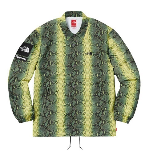 Supreme North Face snakeskin Taped Seam Coaches Jacket Green Large 緑 L 蛇 ジャケット ノースフェイス 18ss