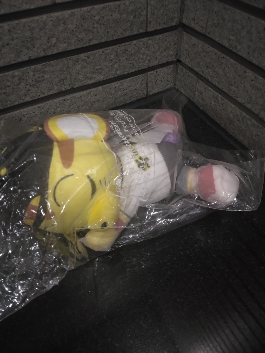 レア タグ付き すやすやフレンド キー太 ぬいぐるみ 阪神タイガース マスコット レオ 球団マスコット タイガース 野球 限定 プロ野球 トラ