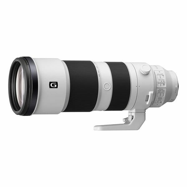 中古 １年保証 美品 SONY FE 200-600mm F5.6-6.3 G OSS SEL200600G