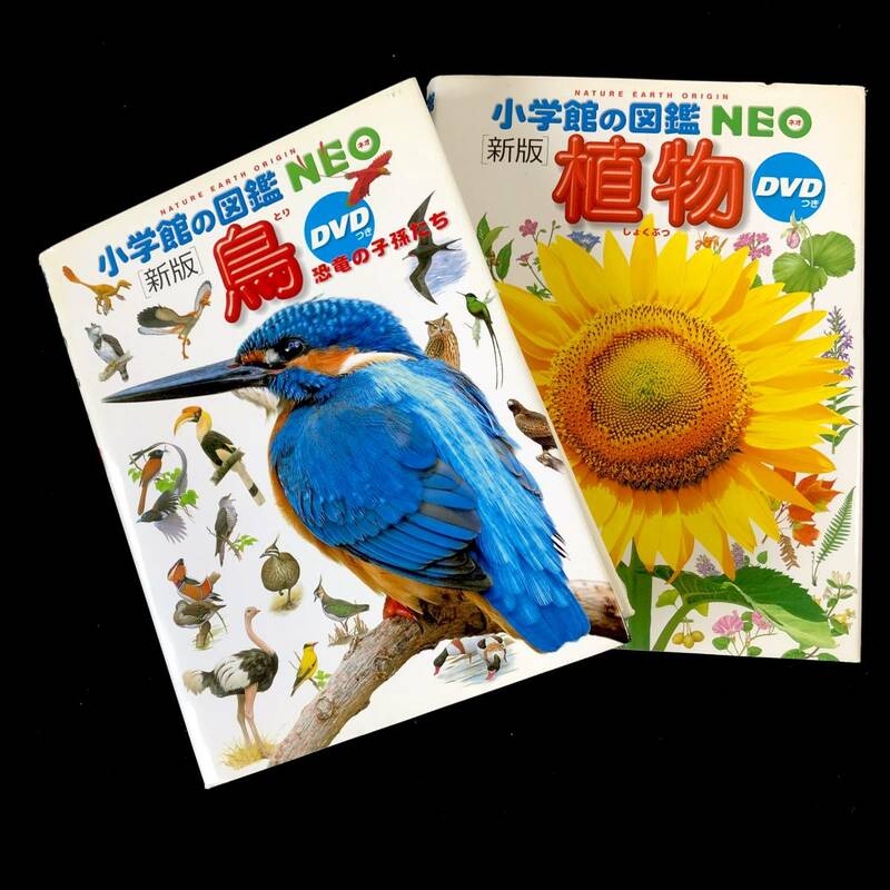 植物 新版 小学館の図鑑NEO DVD / 鳥 新版 小学館の図鑑NEO DVD 中古