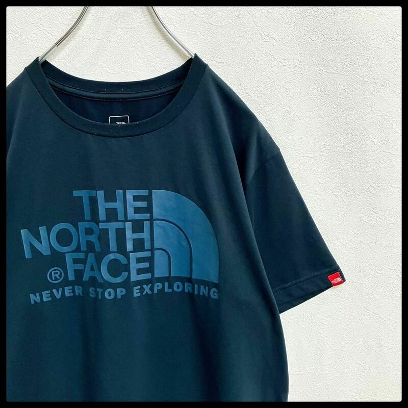 ノースフェイス　THE NORTH FACE　ビッグロゴ　プリント　半袖Tシャツ　メンズ　Lサイズ