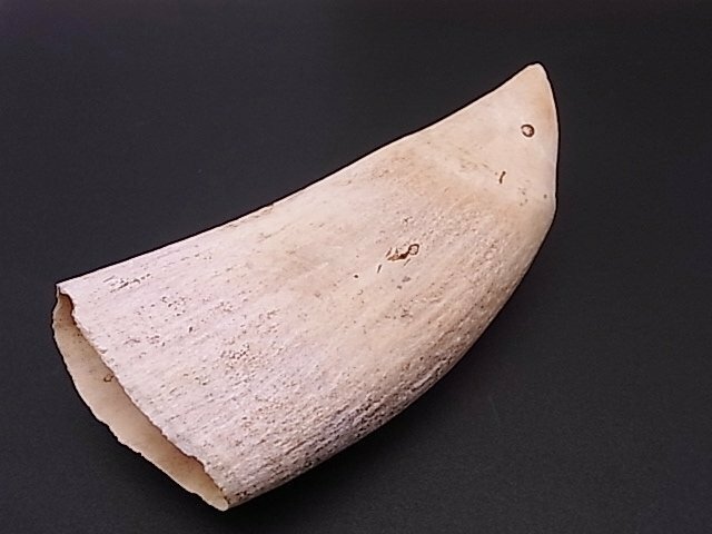 s106 マッコウクジラ 抹香鯨 抹香クジラ歯 重量237.1g 根付 彫刻 印材 工芸品