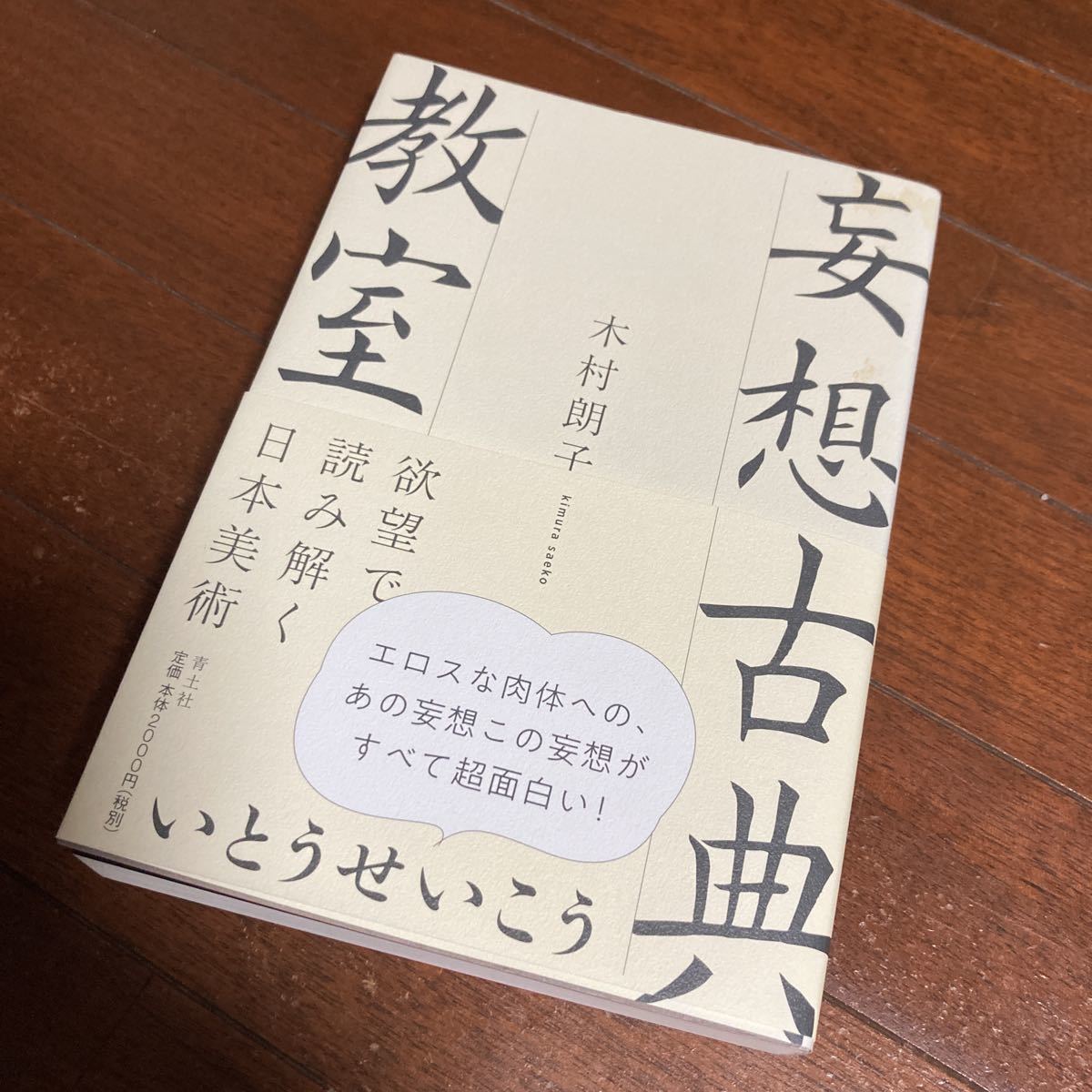 妄想古典教室　欲望で読み解く日本美術 木村朗子／著